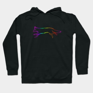 Rainbow Running Fox Logo Hoodie